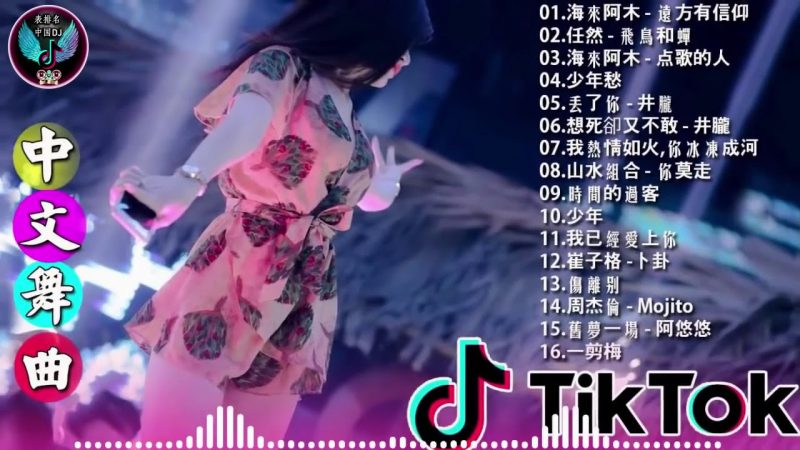Chinese DJ 2021 高清新2021 夜店混音   少年愁 想死卻又不敢   井朧 时间的过客 少年 海来阿木   远方有信仰 兄弟想你了 我已经爱上你   2021最火歌曲dj